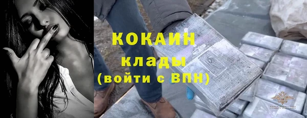 винт Арсеньев