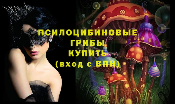 прущий лед Аркадак