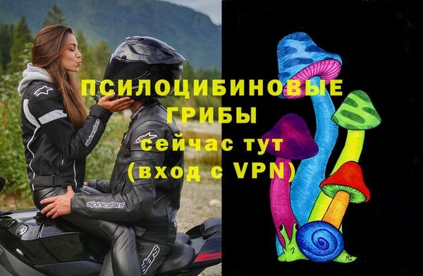 прущий лед Аркадак