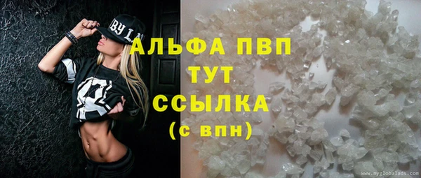 винт Арсеньев