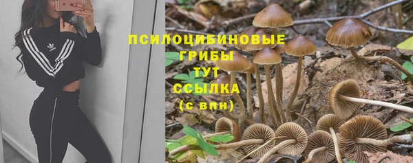 прущий лед Аркадак