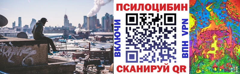 Галлюциногенные грибы мухоморы  Купить закладки  Сухиничи 